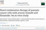 Novel combination therapy of prostate cancer cells with arsenic trioxide and flutamide: An in-vitro study